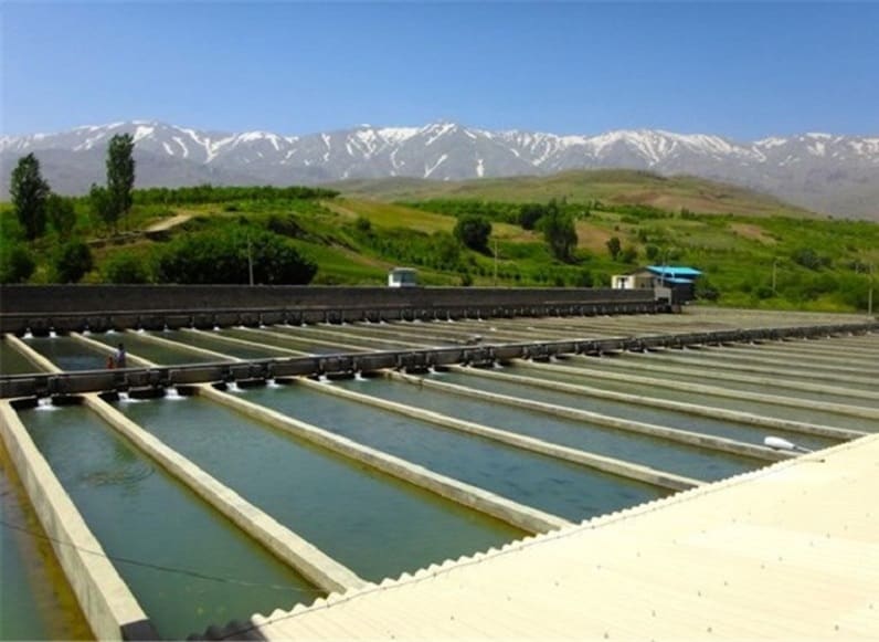 استخرهای پرورش ماهی